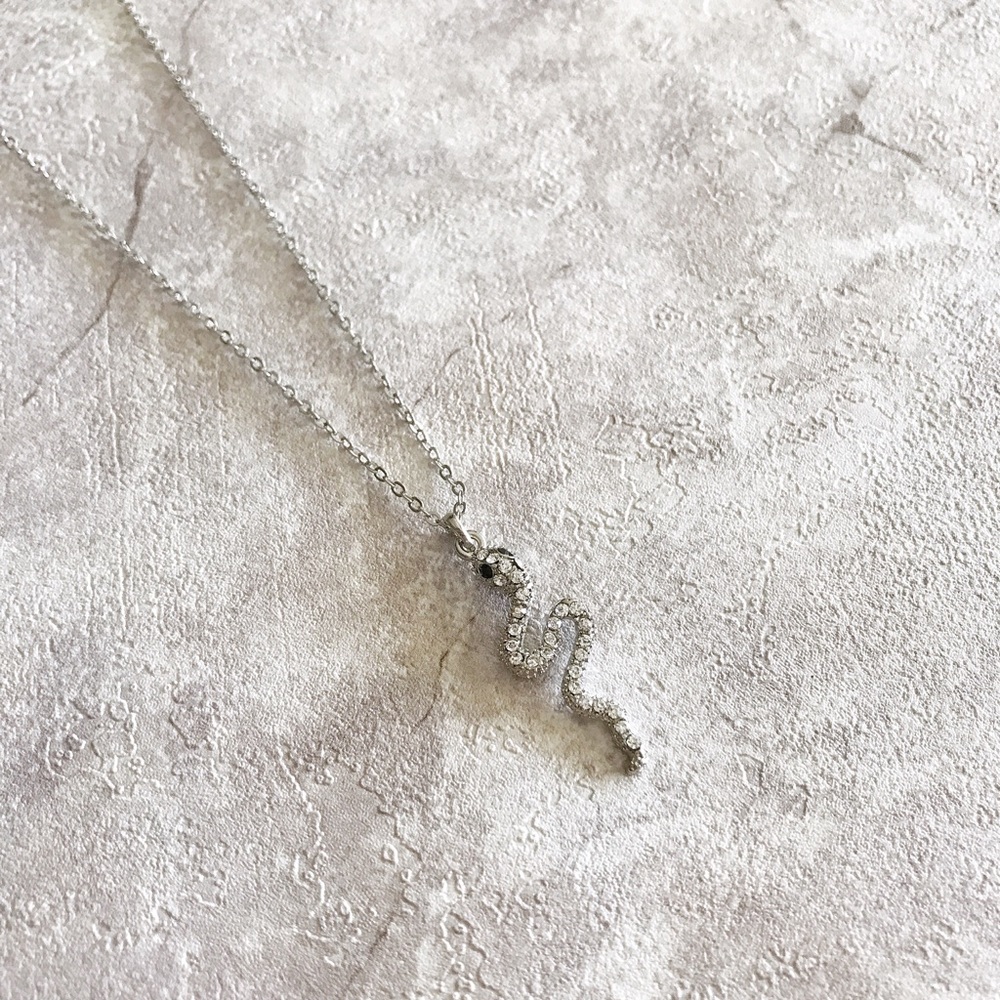 Silver Snake Necklace